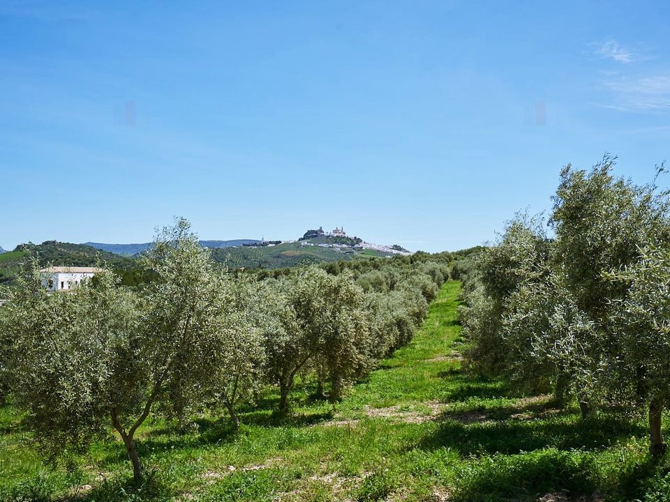 Landejendom i Olvera, Cadiz - foto 5